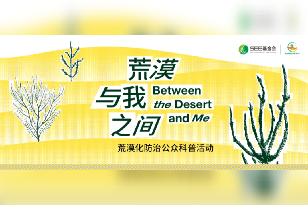 荒漠与我之间-荒漠化防治公众科普活动案例主图