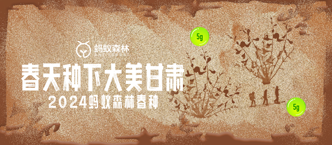 分散人流,提高效率