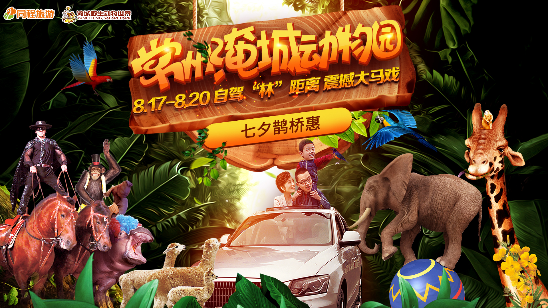 8月18日,常州动物园自驾林,体验与动物亲密接触的精彩活动